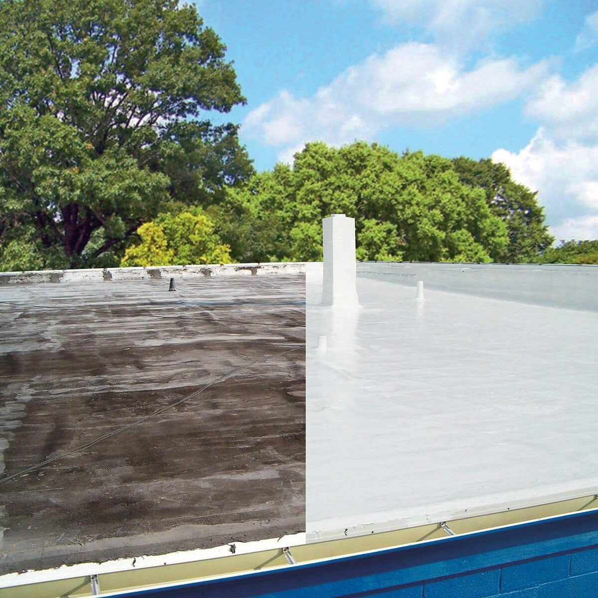 Silicone Coating Beverly Hills